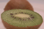 pictue of kiwi fruit